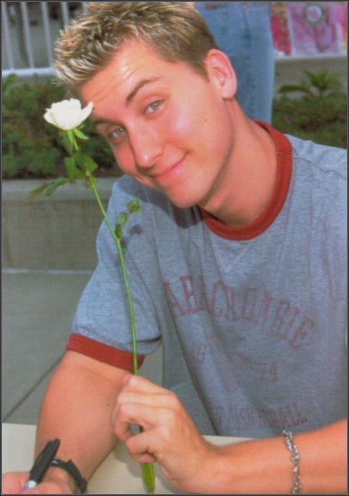 lancenewflower.jpg